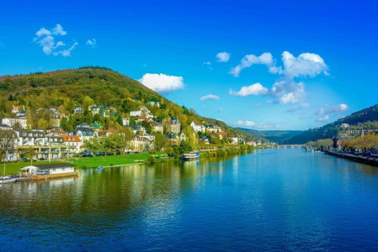 From Frankfurt: Rhine Valley Day Trip - Activity Details