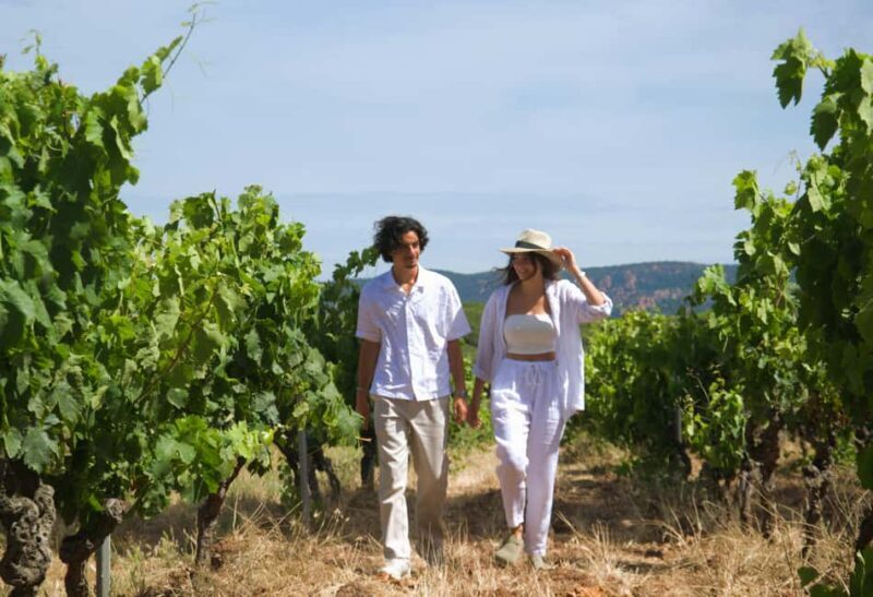 From Fréjus: Van tour to the heart of the Provençal vineyards - A Detailed Look at the Experience