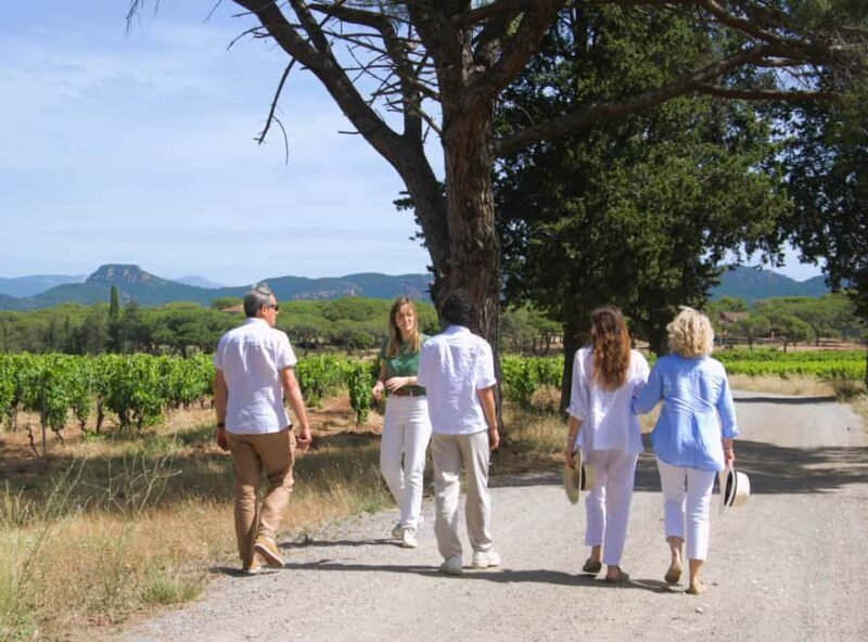 From Fréjus: Van tour to the heart of the Provençal vineyards - Who Will Love This Tour