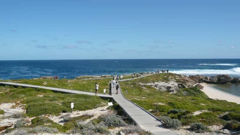 From Fremantle: Rottnest Island Ferry & Bus Day Tour - Good To Know