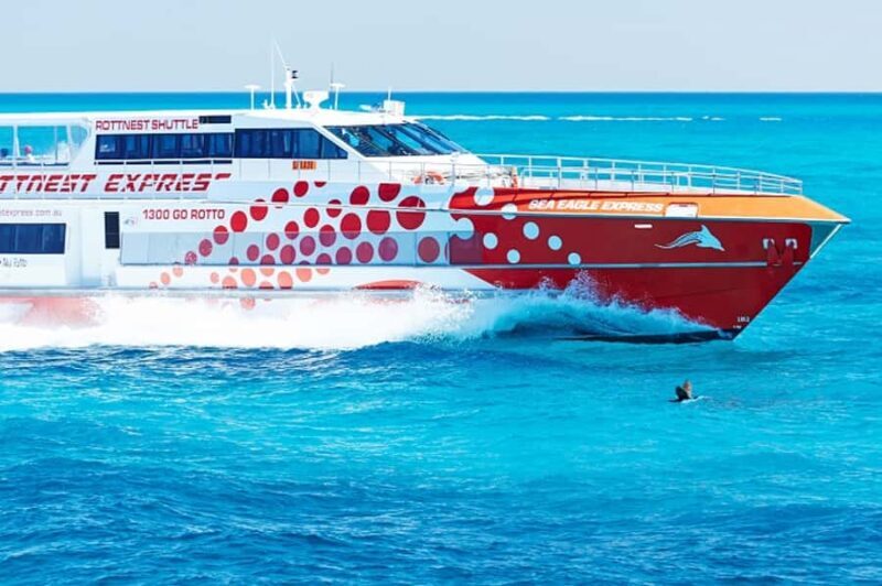 From Fremantle: Rottnest Island Ferry & Bus Day Tour - Who Will Love This Tour?