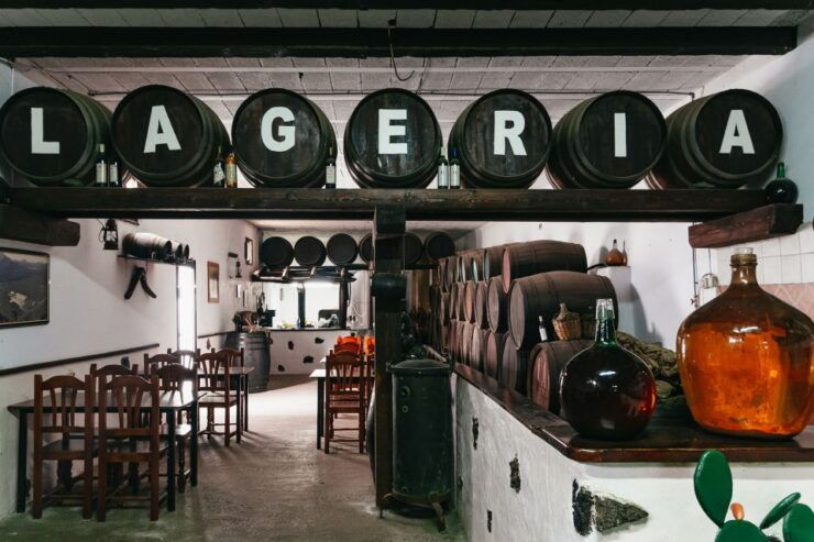 From Fuerteventura: Lanzarote Trip With Wine Tasting & Lunch - Experience Highlights