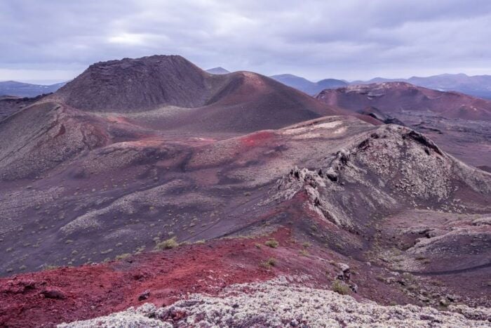 From Fuerteventura: Lanzarote Volcano and Wine Region Tour - Common Questions