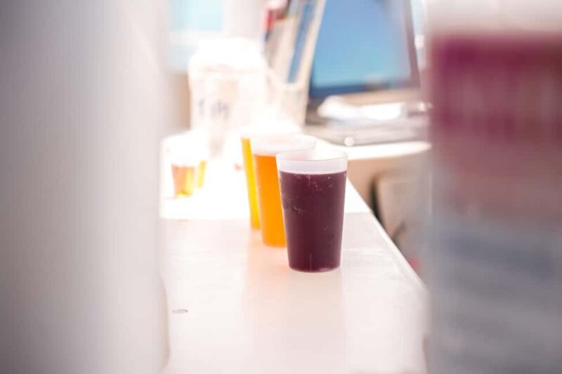 From Fuerteventura: Playa Blanca Minicruise to Papagayo - Final Thoughts: Is This Tour Worth It?