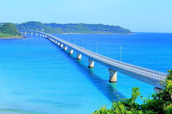 From Fukuoka: Day Trip to Moji Port, Subsea Tunnel & Shrine - Booking and Cancellation Policy