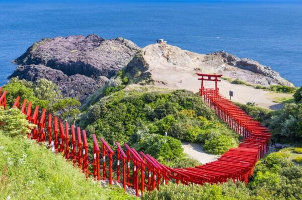 From Fukuoka: Day Trip to Moji Port, Subsea Tunnel & Shrine - Frequently Asked Questions