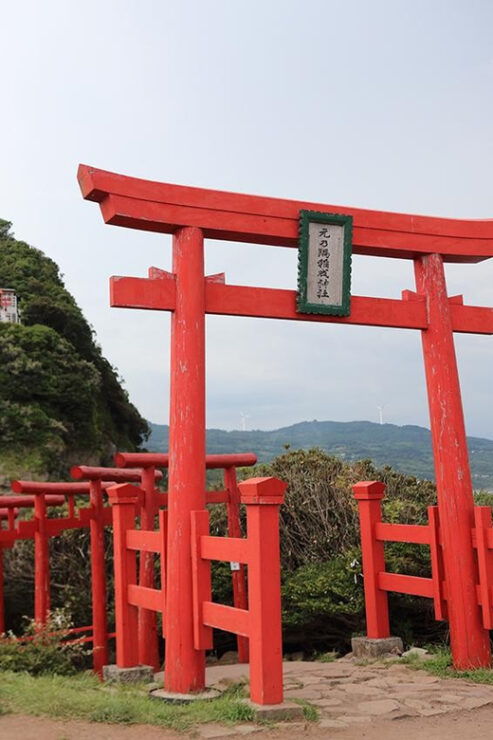 From Fukuoka: Day Trip to Yamaguchi Akiyoshido Cave & Shrine - Good To Know