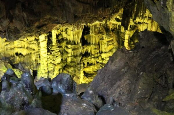 From Fukuoka: Day Trip to Yamaguchi Akiyoshido Cave & Shrine - Tour Inclusions and Guide