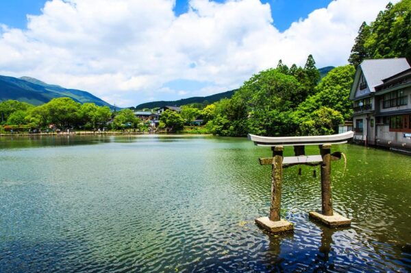 From Fukuoka: Day Trip to Yufuin, Beppu Hell Hot Springs - Important Meeting Details