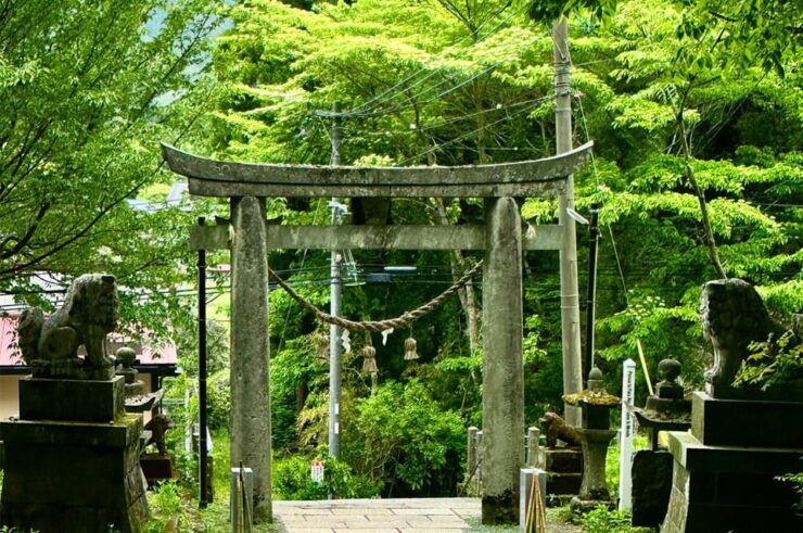 From Fukuoka: Miyazaki, Kumamoto, and Takachiho Gorge Tour - Itinerary Highlights