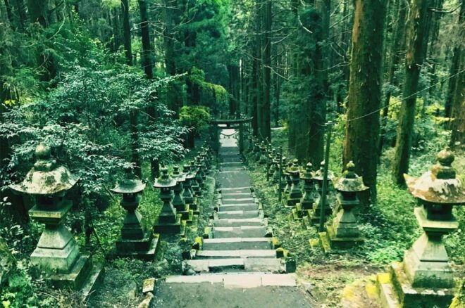 From Fukuoka: Miyazaki, Kumamoto, and Takachiho Gorge Tour - Participant Information