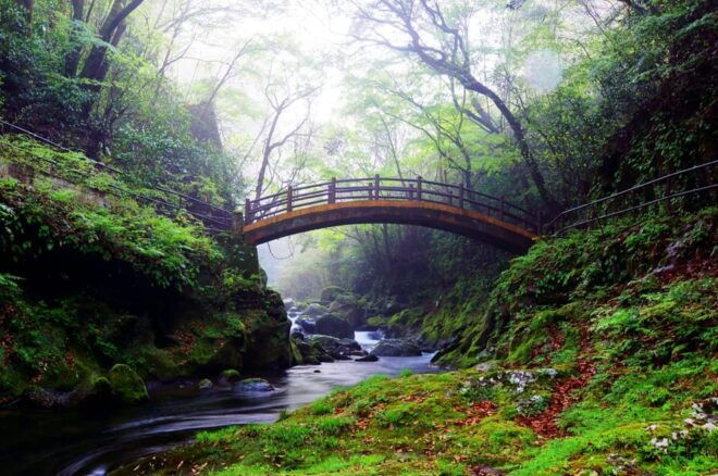 From Fukuoka: Miyazaki, Kumamoto, and Takachiho Gorge Tour - Important Information