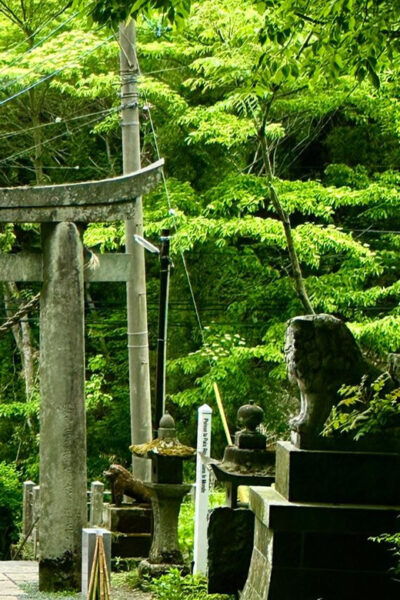 From Fukuoka: Miyazaki, Kumamoto, and Takachiho Gorge Tour - Tips for Travelers