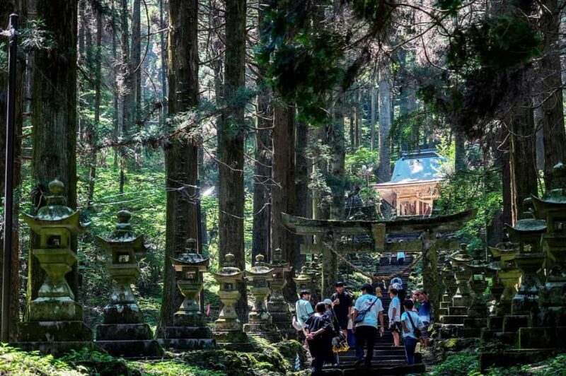 From Fukuoka: Miyazaki, Takachiho Gorge and Shrines Day tour - Who Is This Tour Best For?