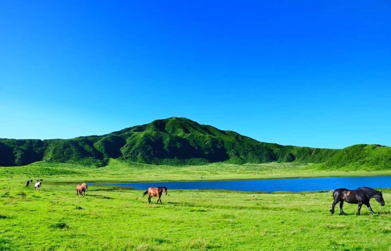 From Fukuoka: Mount Aso, Kurokawa Onsen, and Shrine Tour - Kurokawa Onsen: A Hot Spring Haven