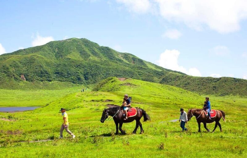 From Fukuoka: Mount Aso, Kurokawa Onsen, and Shrine Tour - FAQs