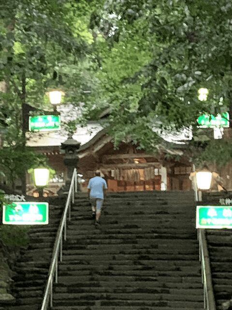 From Fukuoka: Mythical "Takachiho" Day Trip by PRIVATE Bus - Scenic Walks and Optional Boat Ride