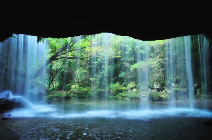 From Fukuoka: Private Customized Nature Tour of Kumamoto - Good To Know