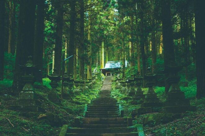 From Fukuoka: Private Customized Nature Tour of Kumamoto - Inclusions and Exclusions