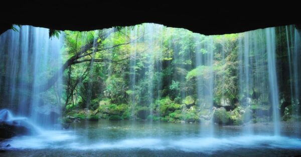 From Fukuoka: Private Customized Nature Tour of Kumamoto - Booking Details