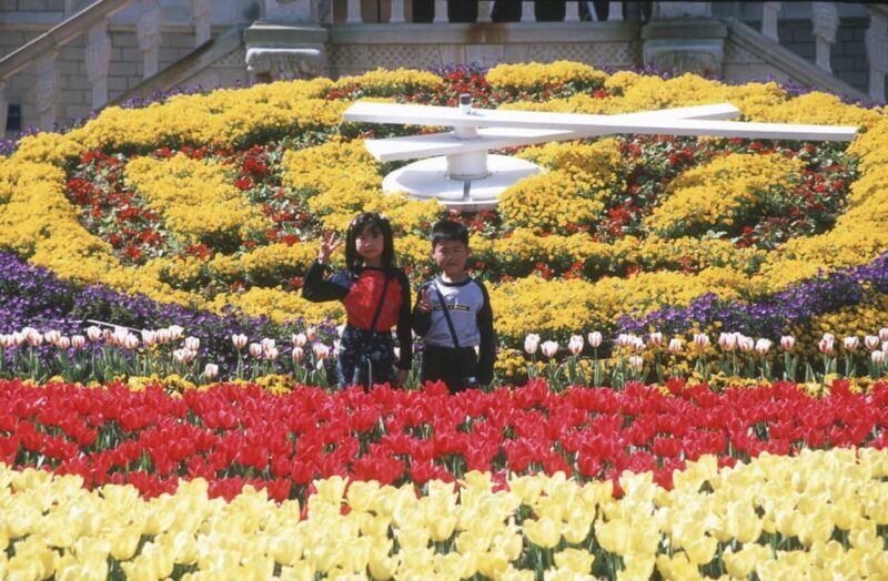 From Fukuoka: Private Day Trip to Huis Ten Bosch Theme Park - Who Will Love This Experience?