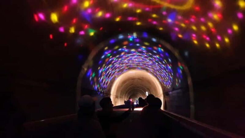 From Fukuoka: Takachiho Gorge & Railway Tour with Boat - Who Is This Tour For?