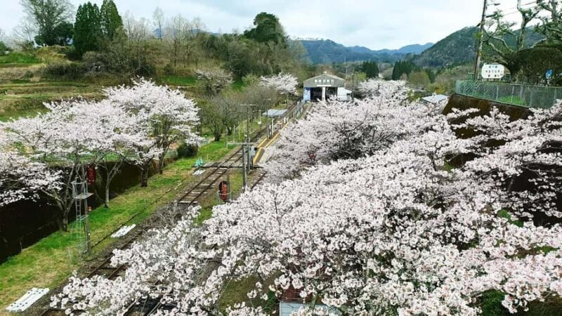 From Fukuoka: Takachiho Gorge & Railway Tour with Boat - Amano Yasugawara: Quiet Reflection and Rituals