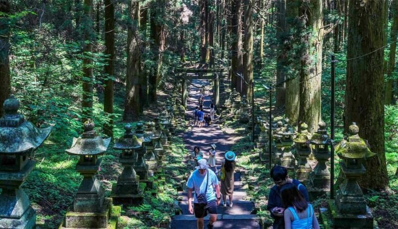 From Fukuoka: Takachiho Gorge, Shrines, & Cave Day Trip - Good To Know