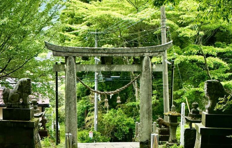 From Fukuoka: Takachiho Gorge, Shrines, & Cave Day Trip - Final Thoughts: Who Will Love This Tour?