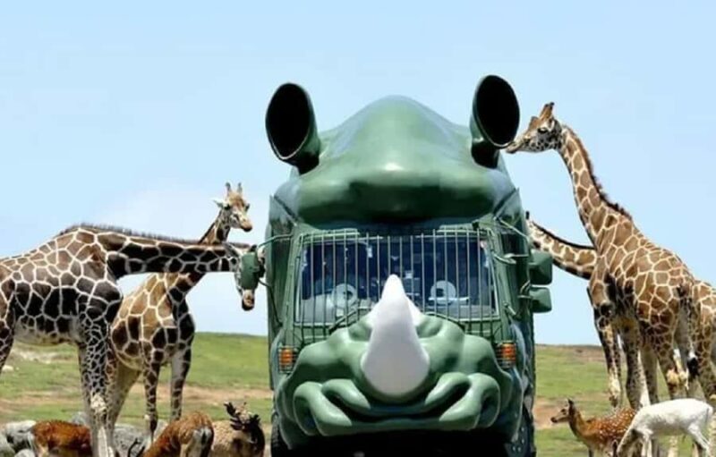 From Fukuoka: Yufuin, Beppu, Wildlife Park & Onsen Day Trip - Good To Know