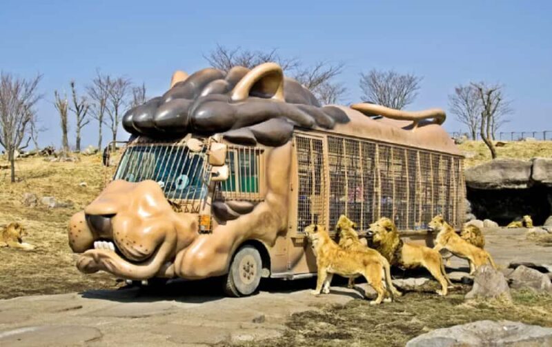 From Fukuoka: Yufuin, Beppu, Wildlife Park & Onsen Day Trip - A Full-Day Journey Through Kyushu’s Wonders