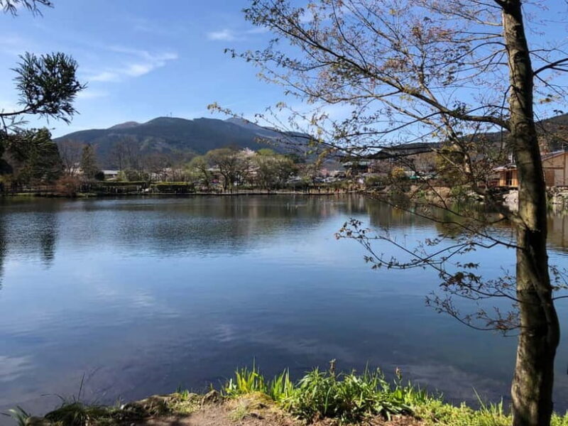 From Fukuoka: Yufuin, Hita, and Beppu Day Trip - Exploring Kyushu in a Day: What to Expect