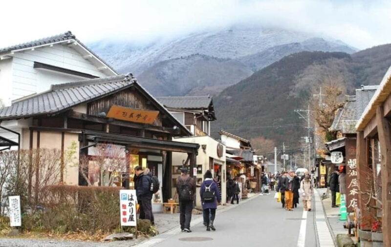 From Fukuoka: Yufuin, Hita, and Beppu Day Trip - Why This Tour Offers Great Value