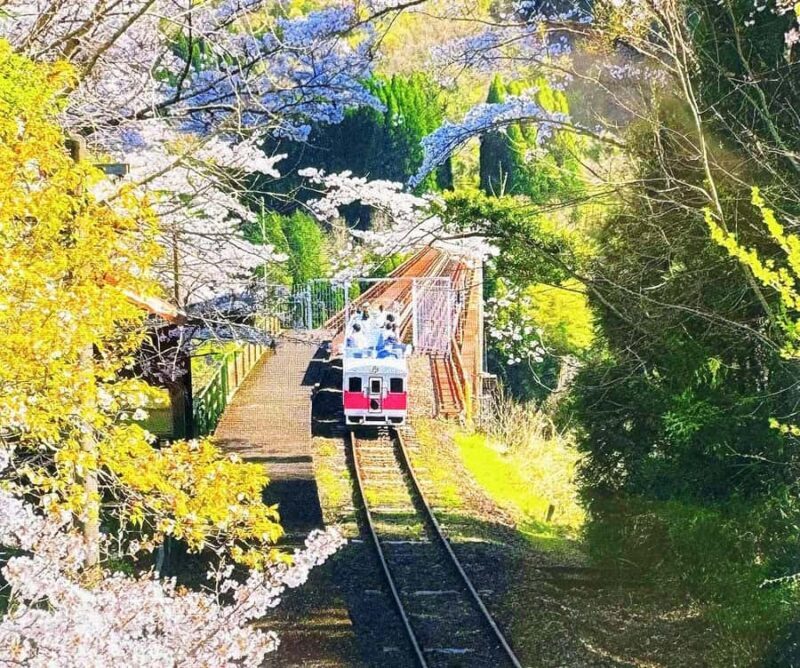 From FukuokaTakachiho Classic Day Tour: Gorge, Train & Cave - An In-Depth Look at the Fukuoka to Takachiho Day Tour