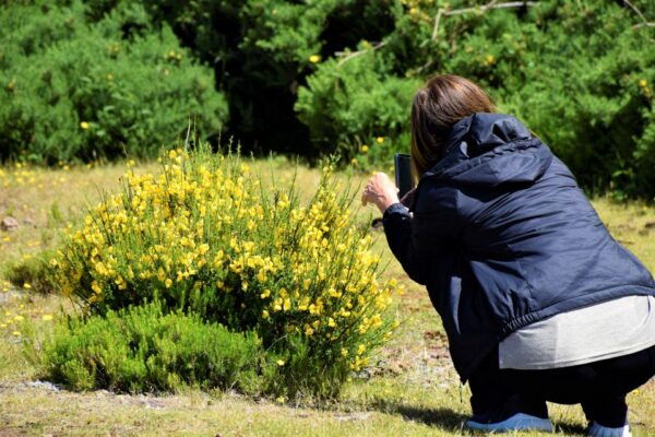 From Funchal: 2-Day Guided Tour of Madeira - Cancellation and Payment Policies