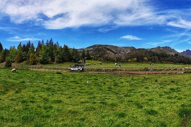 From Funchal: Best of Madeira Island West Tour - Tour Highlights