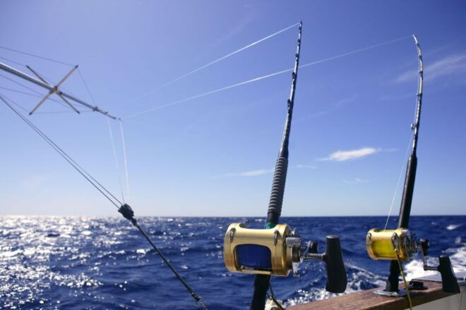 From Funchal : Big Game Fishing Boat Trip - Booking