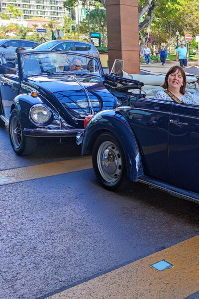 From Funchal: Cabo Girão & Poncha Tasting by Classic VW - Vintage VW Rides