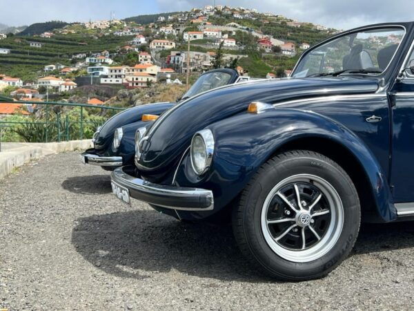 From Funchal: Cabo Girão & Poncha Tasting by Classic VW - Local Beverage Tasting