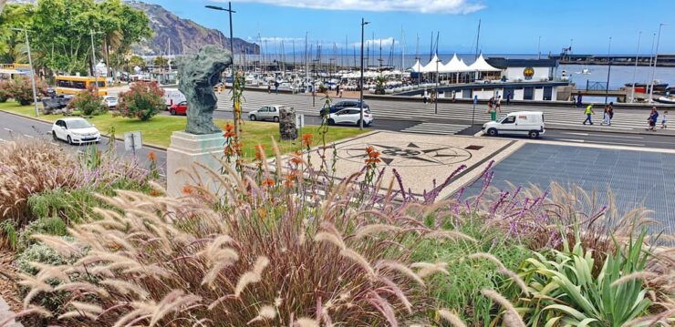 From Funchal: Câmara De Lobos Guided Tuk-Tuk Tour - Tour Highlights