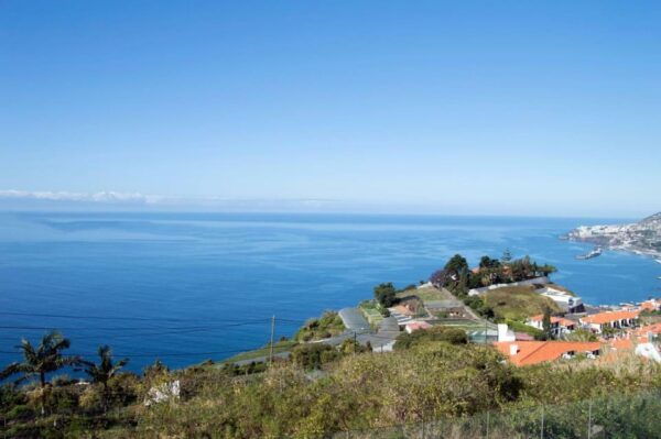 From Funchal: Cristo Rei Guided TukTuk Tour - Private Tour Option