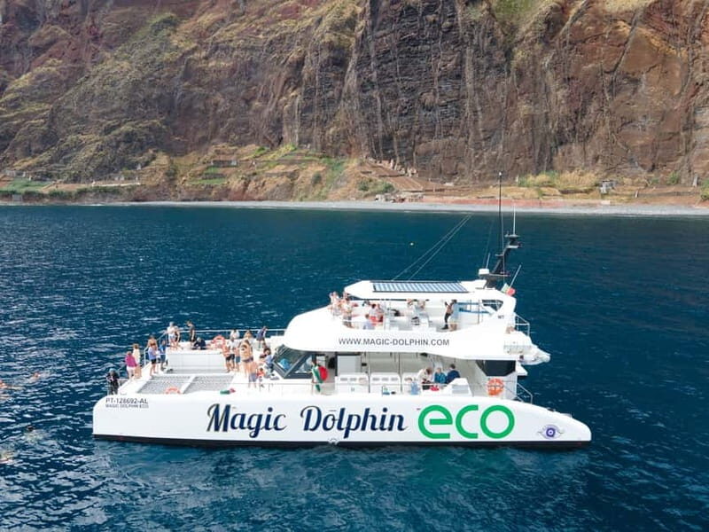 From Funchal: Ecological Catamaran Dolphin Whale Watching - An In-depth Look at the Experience