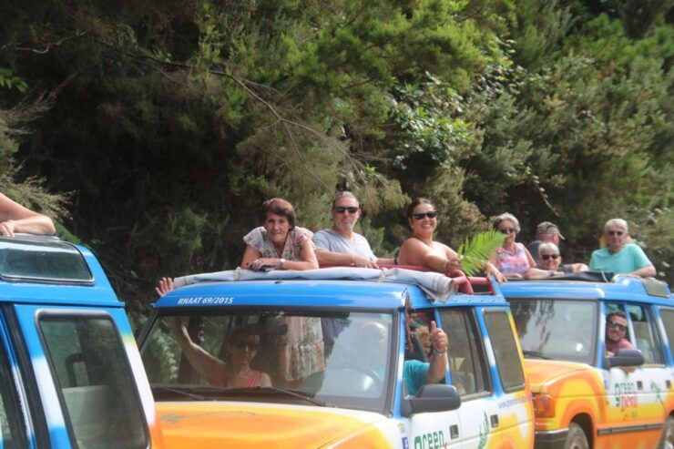 From Funchal: Enchanted Terraces and Porto Do Moniz 4WD Tour - Tour Activity Details