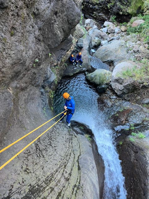 From Funchal: Guided Canyoning Adventure (Level 2) - Highlights of the Canyoning Adventure