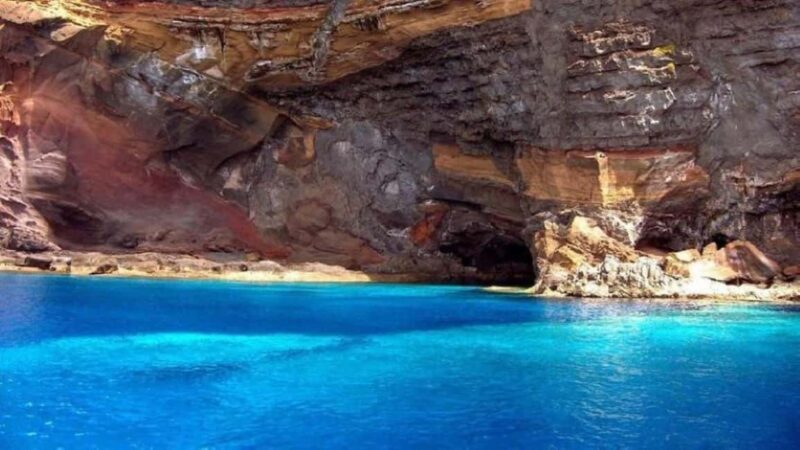 From Funchal: Guided Tour to Desertas Islands - What to Expect on the Day  