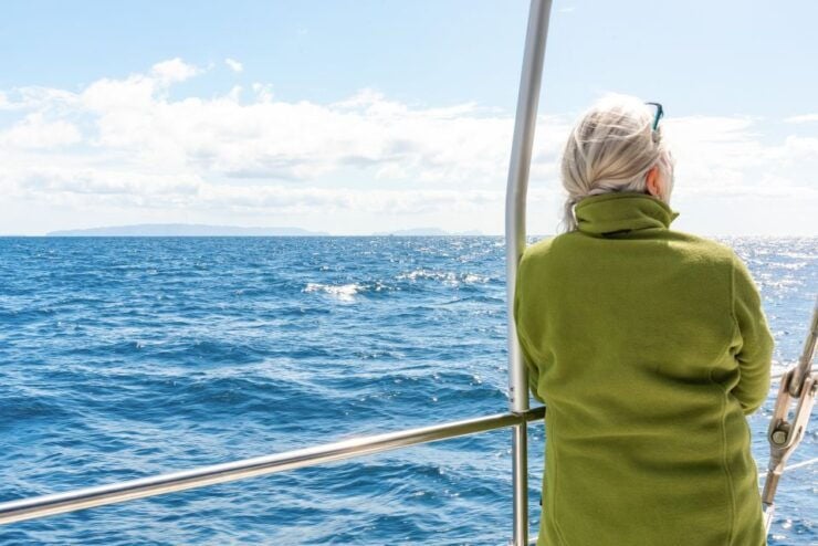 From Funchal: Madeira Dolphin and Whale Watching Tour - Experience