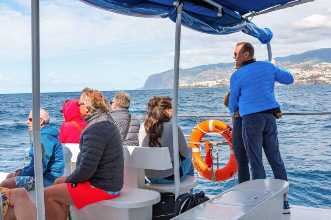 From Funchal: Madeira Dolphin and Whale Watching Tour - Select Participants and Date