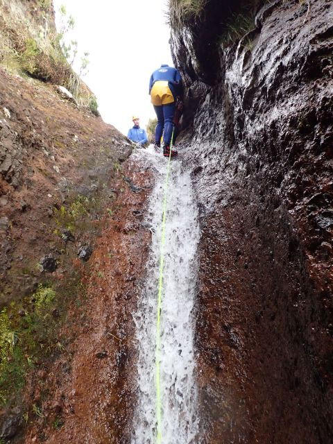 From Funchal: Madeira Island Canyoning for Beginners - Highlights of the Activity