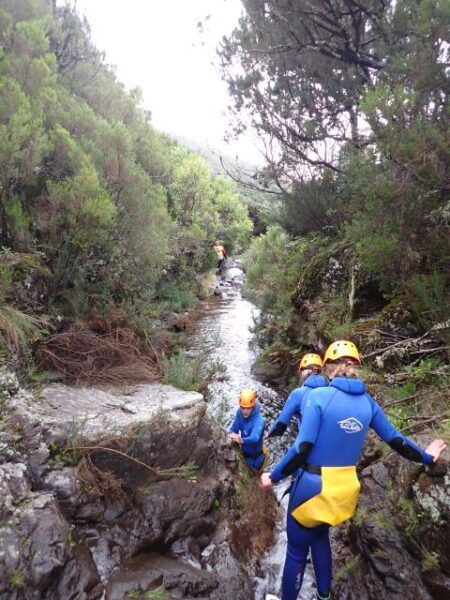 From Funchal: Madeira Island Canyoning for Beginners - Tips for a Successful Canyoning Experience