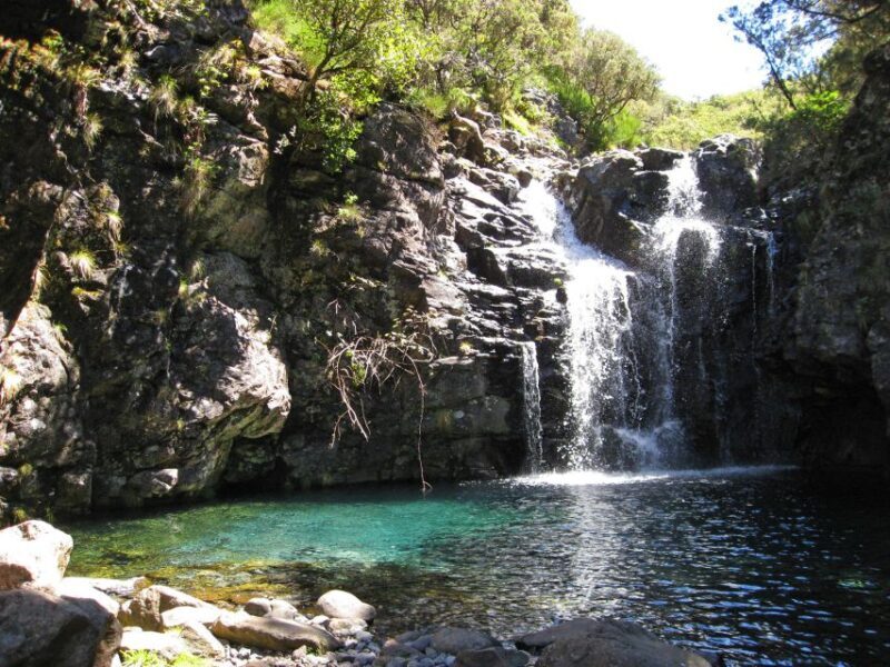 From Funchal: Madeira Lakes Levada Guided Hike - Good To Know